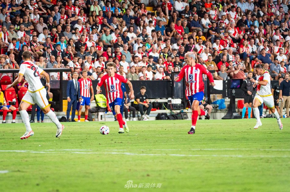 内主力布鲁 内主力布鲁