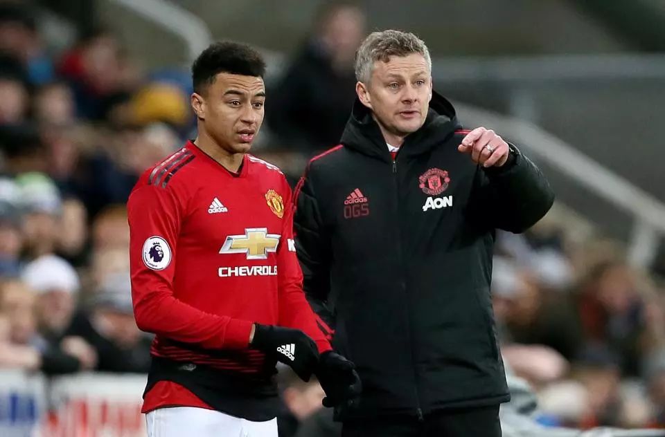 导球队的同 导球队的同